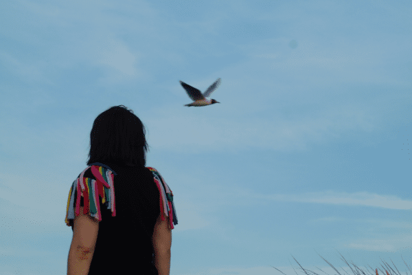 An image of a female with long dark hair with their back to the camera looking at a bird flying across the blue sky.