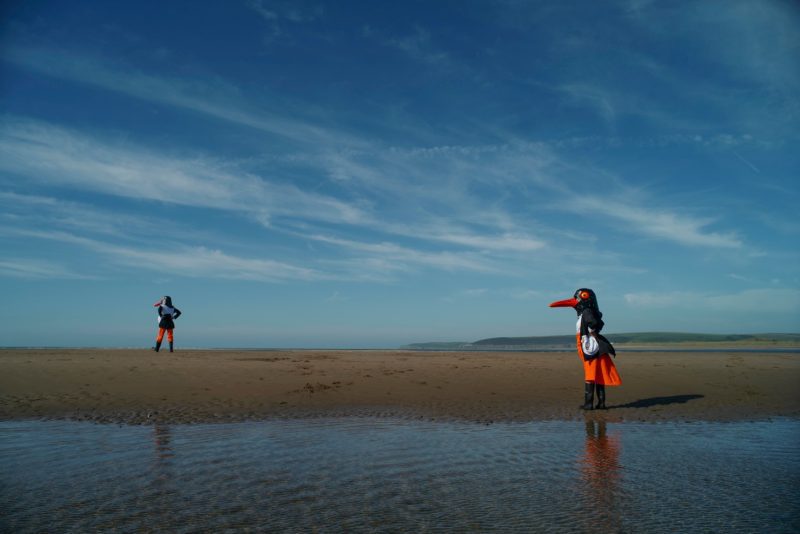 An image of a beach with a person dressed as a bird in the foreground and a figure in the background. The sky is blue with wispy clouds.
